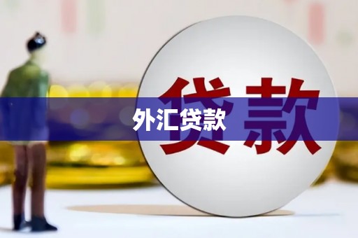 特克斯外汇贷款