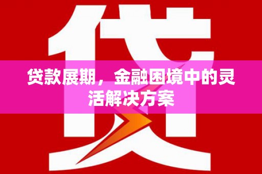 特克斯贷款展期，金融困境中的灵活解决方案