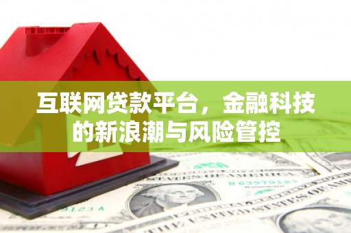 特克斯互联网贷款平台，金融科技的新浪潮与风险管控