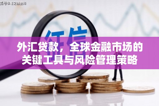 特克斯外汇贷款，全球金融市场的关键工具与风险管理策略