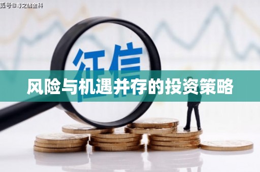 特克斯风险与机遇并存的投资策略