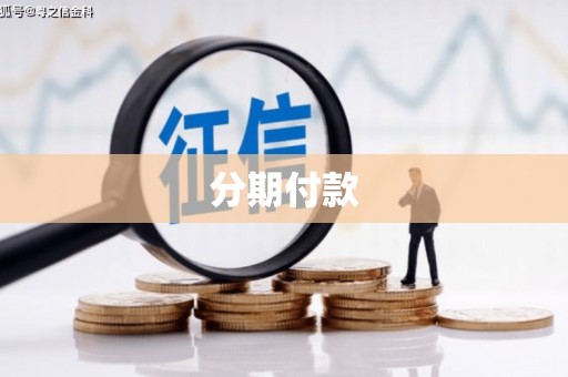 特克斯分期付款