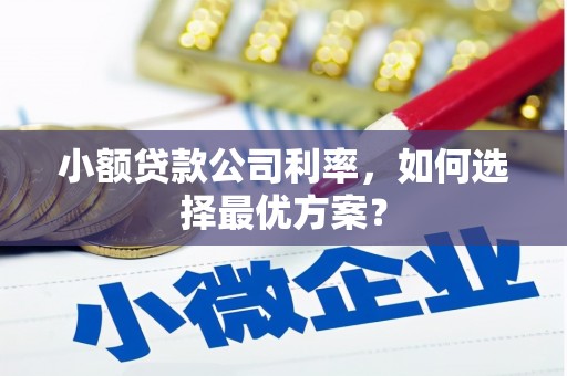 特克斯小额贷款公司利率，如何选择最优方案？