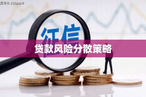 特克斯贷款风险分散策略