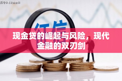 特克斯现金贷的崛起与风险，现代金融的双刃剑