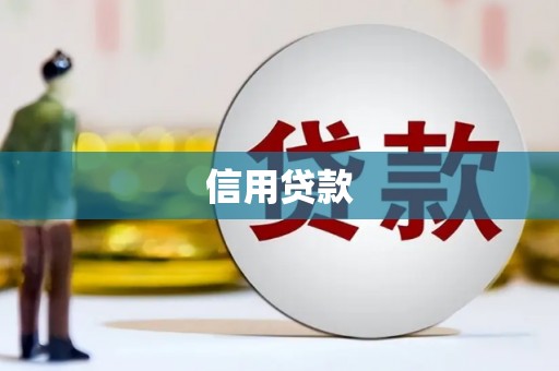 特克斯信用贷款