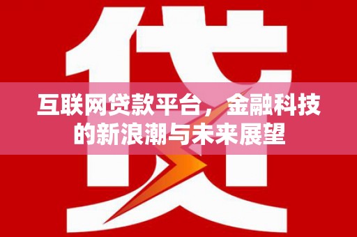 特克斯互联网贷款平台，金融科技的新浪潮与未来展望
