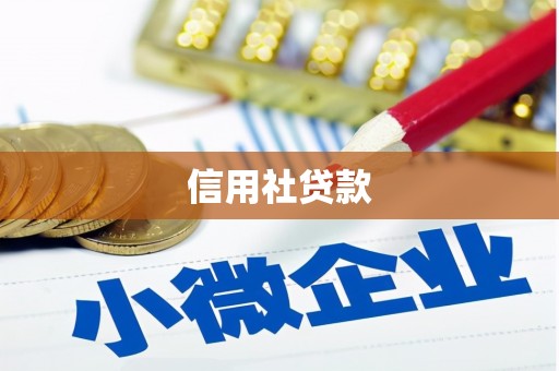 特克斯信用社贷款