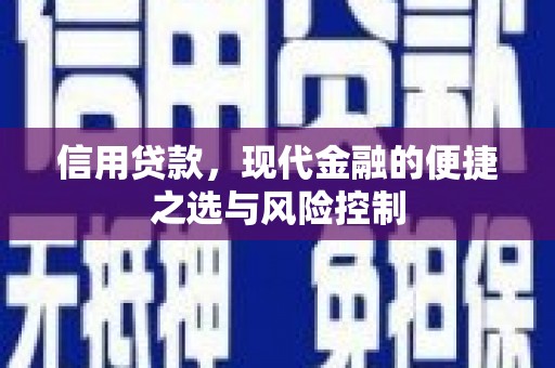 特克斯信用贷款，现代金融的便捷之选与风险控制