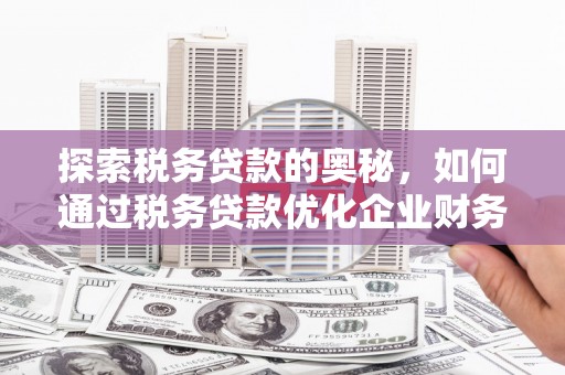 特克斯探索税务贷款的奥秘，如何通过税务贷款优化企业财务