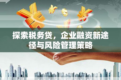 特克斯探索税务贷，企业融资新途径与风险管理策略
