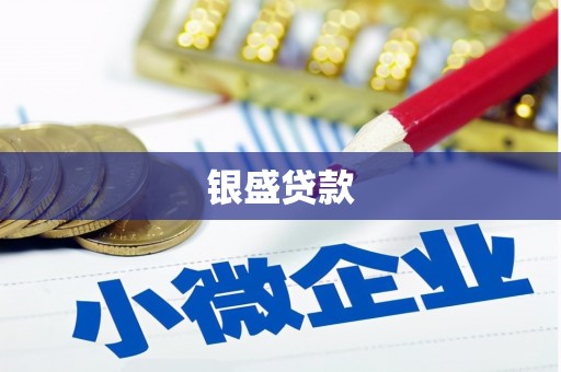 特克斯银盛贷款