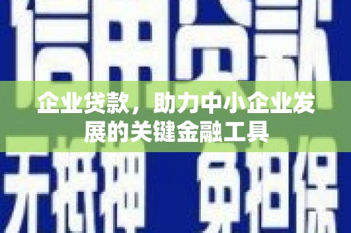 特克斯企业贷款，助力中小企业发展的关键金融工具