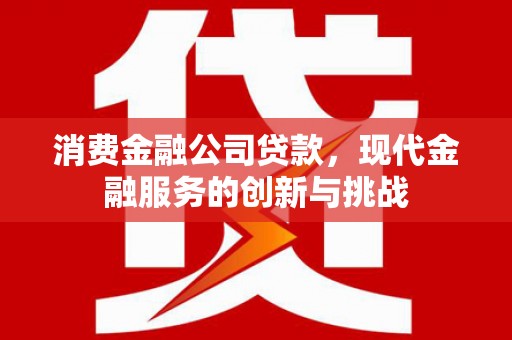 特克斯消费金融公司贷款，现代金融服务的创新与挑战