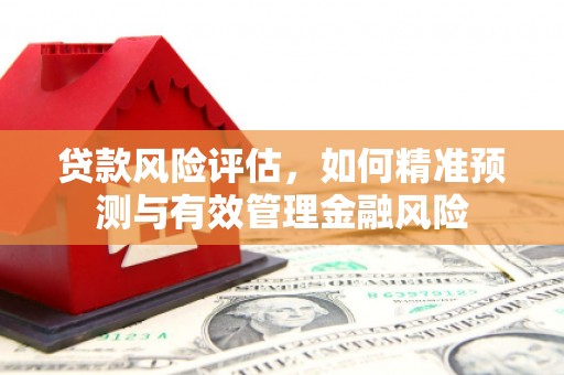 特克斯贷款风险评估，如何精准预测与有效管理金融风险