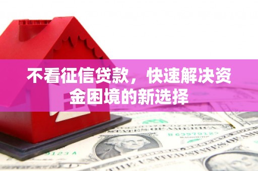 特克斯不看征信贷款，快速解决资金困境的新选择