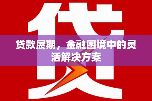 特克斯贷款展期，金融困境中的灵活解决方案