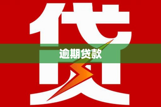 特克斯逾期贷款