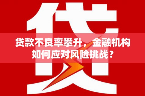 特克斯贷款不良率攀升，金融机构如何应对风险挑战？
