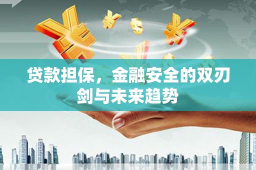 特克斯贷款担保，金融安全的双刃剑与未来趋势