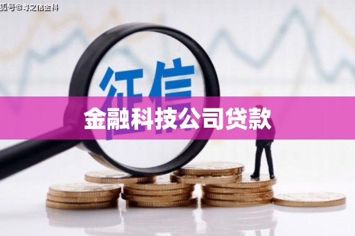 特克斯金融科技公司贷款