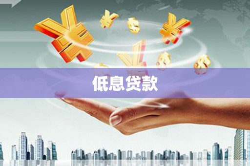 特克斯低息贷款