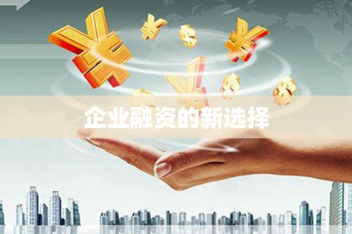 特克斯企业融资的新选择