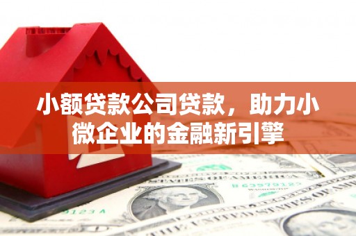 特克斯小额贷款公司贷款，助力小微企业的金融新引擎