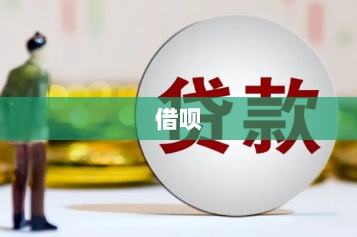 特克斯借呗