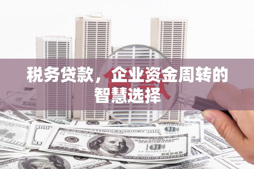 特克斯税务贷款，企业资金周转的智慧选择