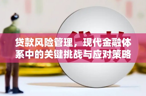 特克斯贷款风险管理，现代金融体系中的关键挑战与应对策略