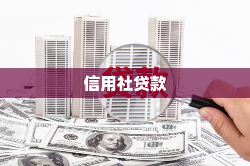 特克斯信用社贷款