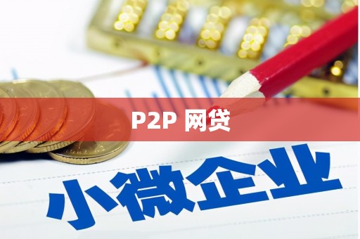 特克斯P2P 网贷