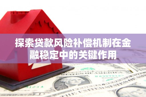 特克斯探索贷款风险补偿机制在金融稳定中的关键作用