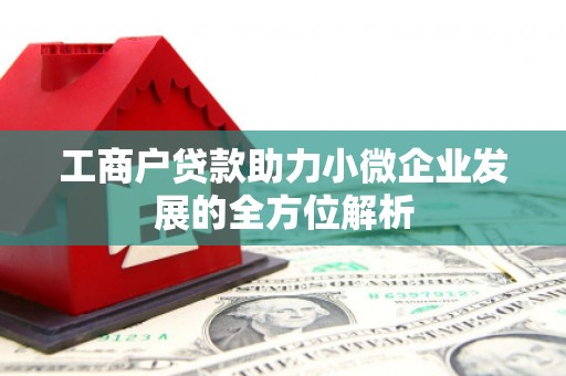 特克斯工商户贷款助力小微企业发展的全方位解析