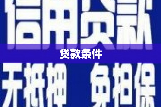 特克斯贷款条件