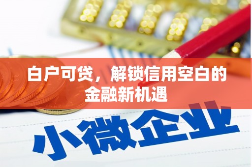 特克斯白户可贷，解锁信用空白的金融新机遇