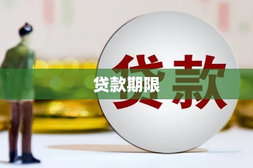 特克斯贷款期限