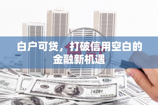 特克斯白户可贷，打破信用空白的金融新机遇