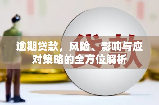 特克斯逾期贷款，风险、影响与应对策略的全方位解析