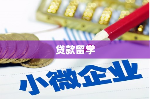 特克斯贷款留学