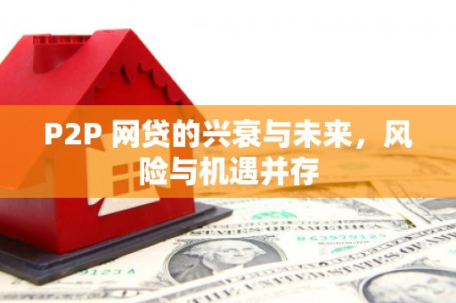 特克斯P2P 网贷的兴衰与未来，风险与机遇并存