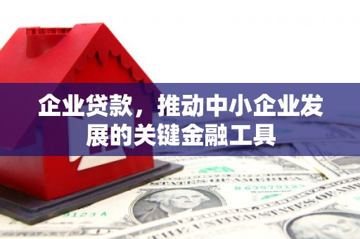 特克斯企业贷款，推动中小企业发展的关键金融工具
