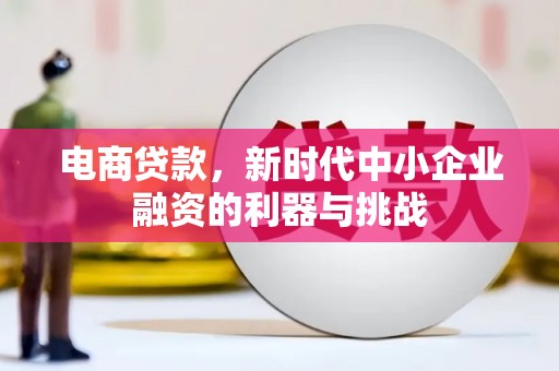 特克斯电商贷款，新时代中小企业融资的利器与挑战