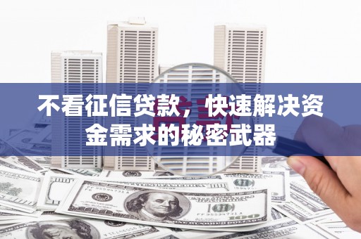 特克斯不看征信贷款，快速解决资金需求的秘密武器