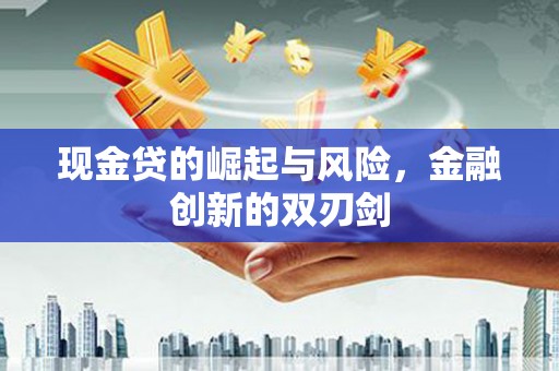 特克斯现金贷的崛起与风险，金融创新的双刃剑