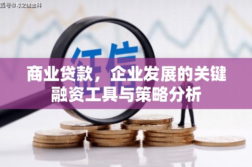 特克斯商业贷款，企业发展的关键融资工具与策略分析