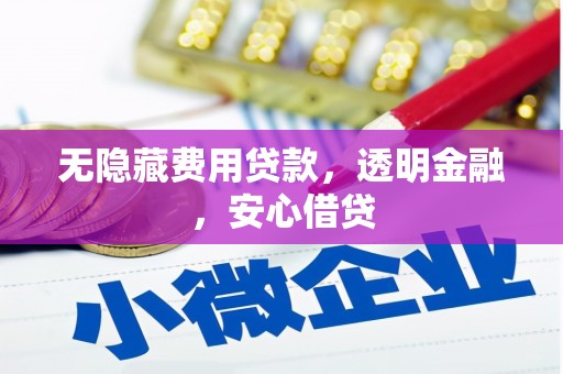 特克斯无隐藏费用贷款，透明金融，安心借贷