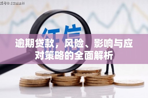 特克斯逾期贷款，风险、影响与应对策略的全面解析