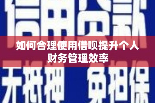 特克斯如何合理使用借呗提升个人财务管理效率